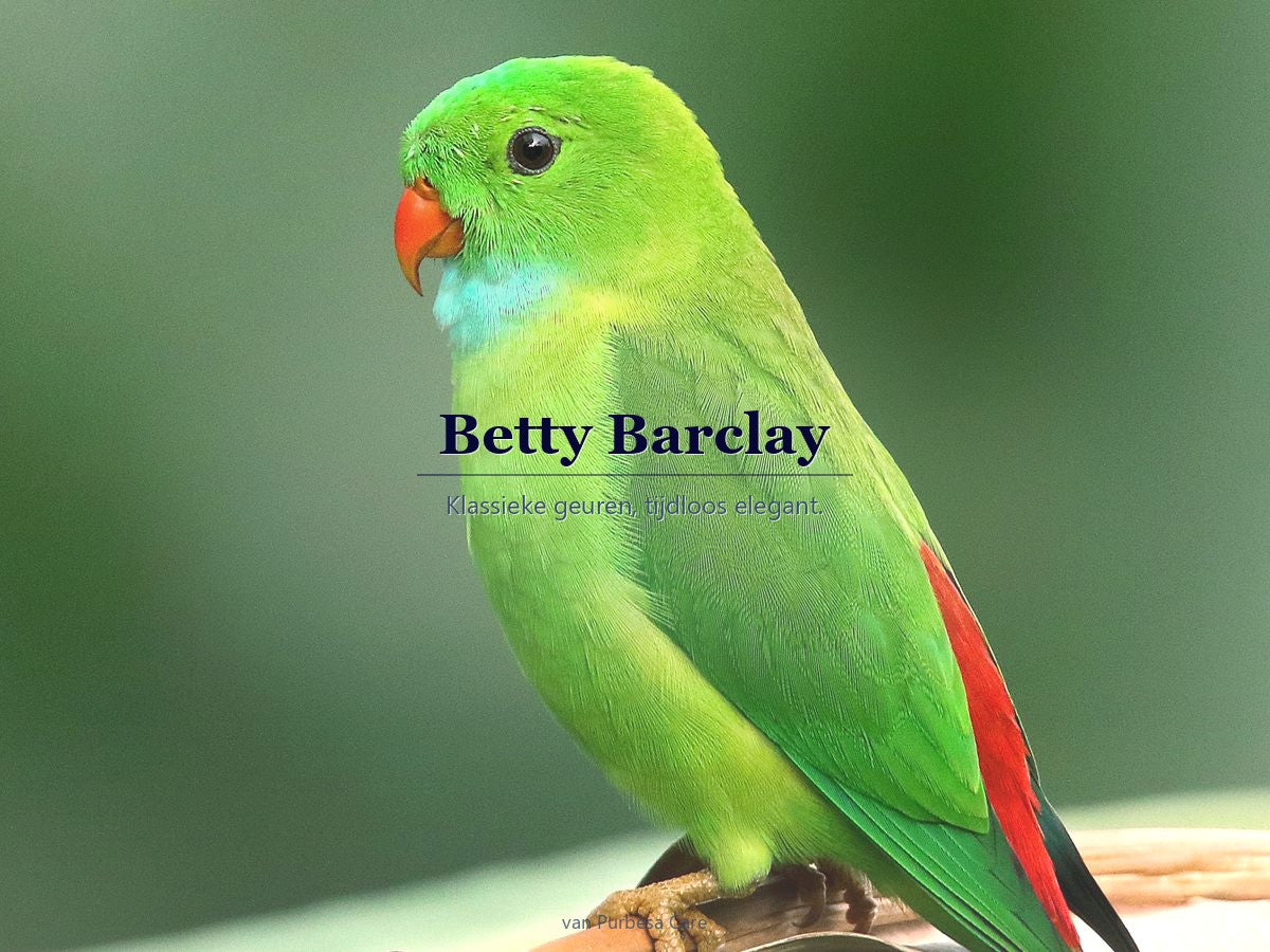 Betty Barclay parfum bij Purbesa Care