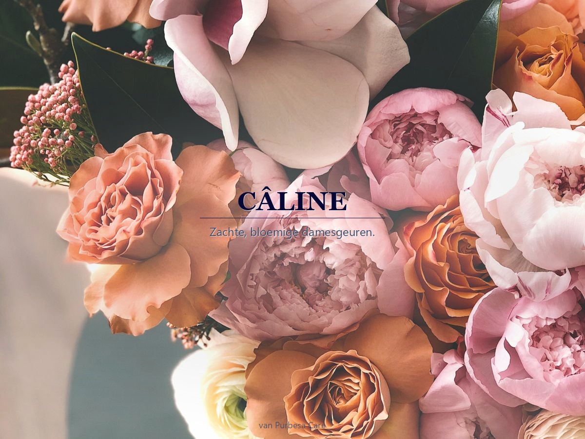 CÂLINE parfum bij Purbesa Care