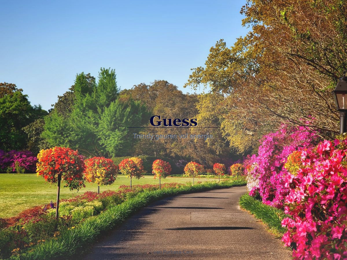 Guess parfum bij Purbesa Care