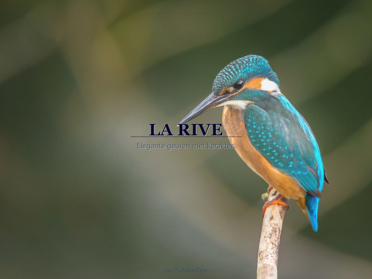LA RIVE parfum bij Purbesa Care