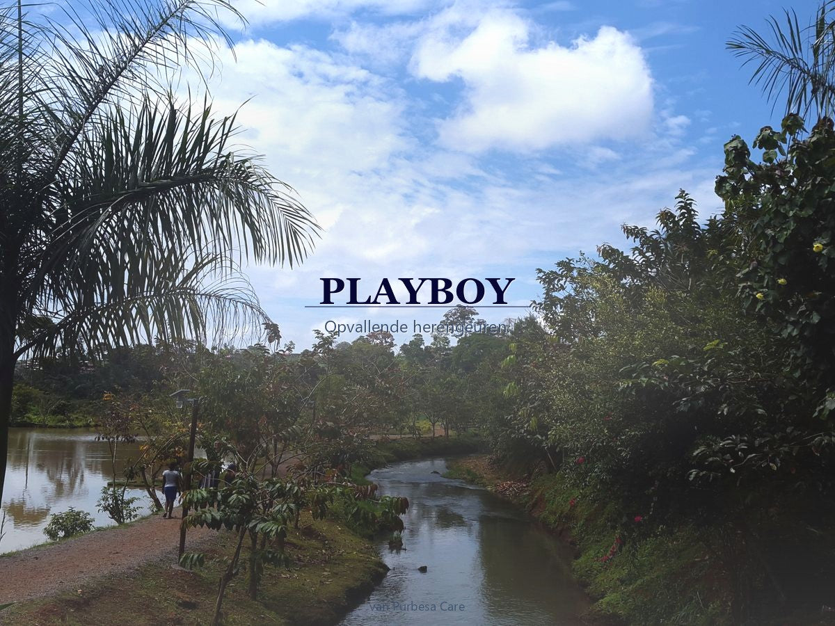 PLAYBOY parfum bij Purbesa Care