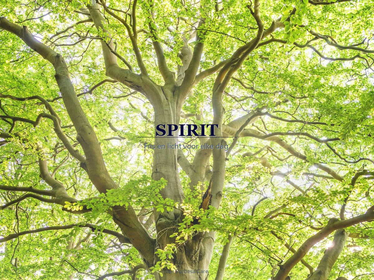 SPIRIT parfum bij Purbesa Care