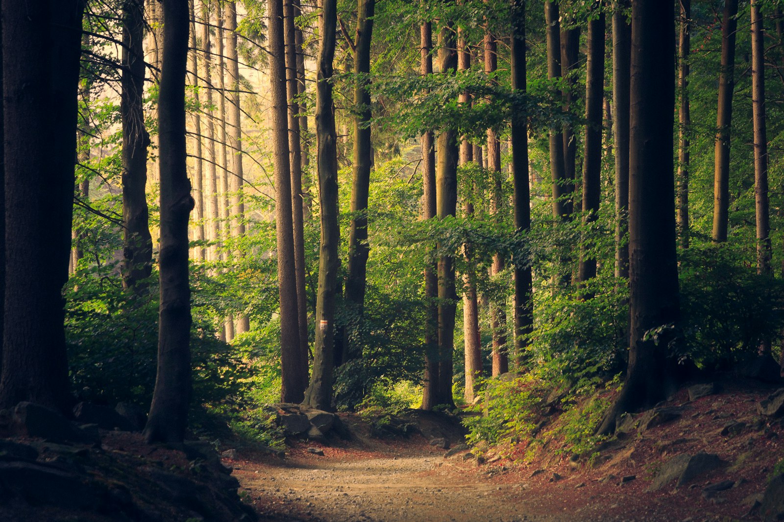 Parfum en geuren — natuurlijke sfeer bij Purbesa Care